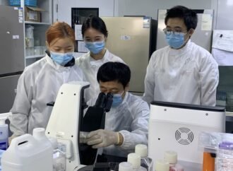 ‘Remarkably encouraging’: stem-cell treatments for autoimmune diseases enter new phase