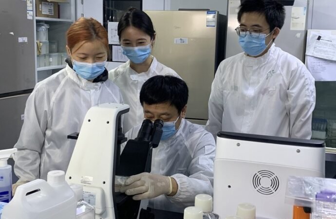 ‘Remarkably encouraging’: stem-cell treatments for autoimmune diseases enter new phase