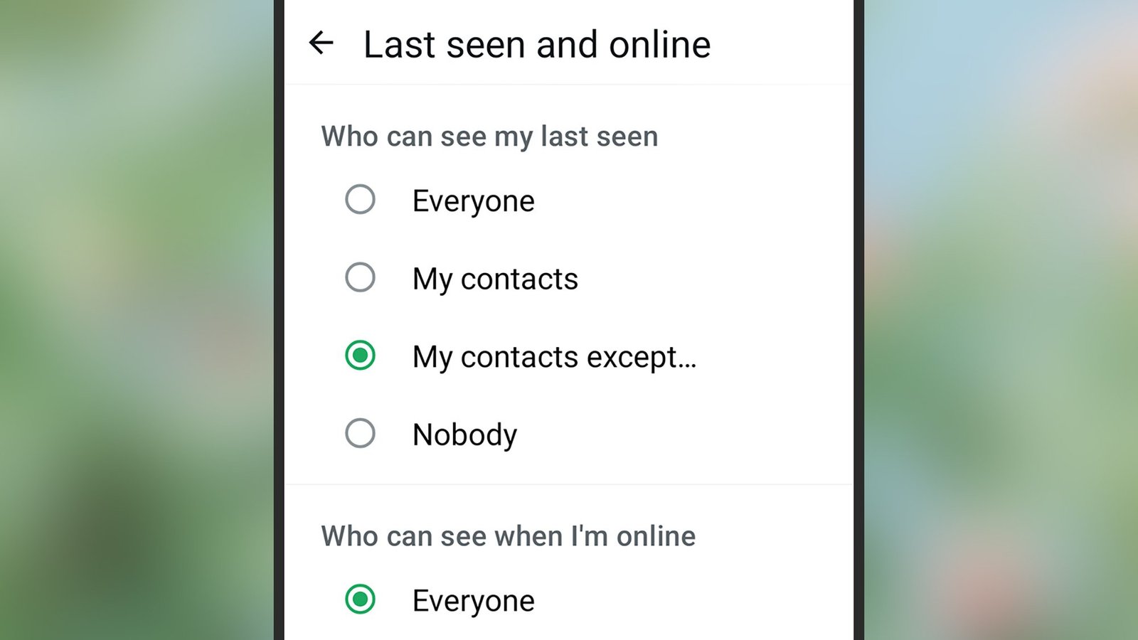A screenshot of WhatsApps' activity access screen on a smartphone
