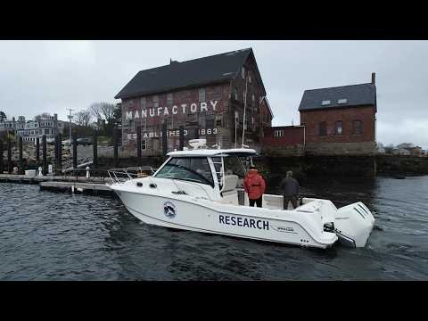 Reducing Underwater Noise: Sharrow Propellers Support Ocean Alliance Whale Research thumbnail