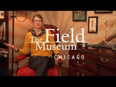 Carl Akeley's Four Seasons thumbnail