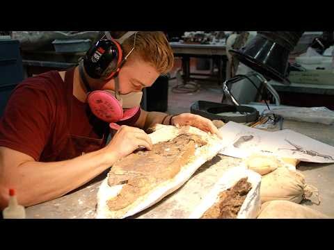 A jaw-dropping discovery on the badlands thumbnail
