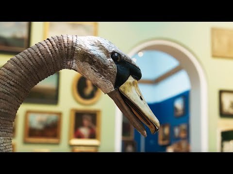 Bowes Museum Silver Swan | Howell Media thumbnail