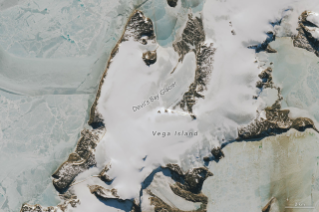 Part of an ice-covered Antarctic island has the appearance of a grinning skull in profile. Some of the face has a gray appearance where seasonal snow is gone and bare ice is exposed.