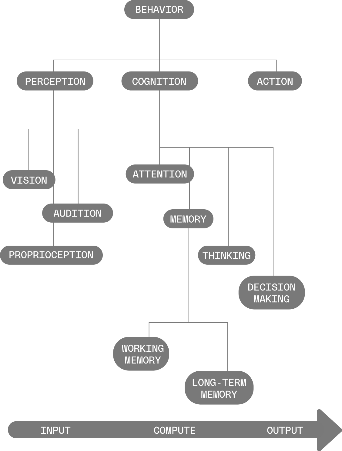This graphic illustrates the classic computational model of the mind. On the left is “perception”, the input that humans take in; centered is “cognition,” the processing of that input in some fashion; and on the right is “action,” the output that results from computational processing. The flow is from left to right -- input to cognition to output.