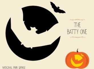 9 nature-inspired pumpkin carving patterns from the National Park Service