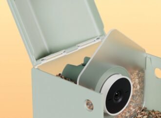 A New Bird-Recognizing Feeder Under $100 Launches for Beginner Bird-Watchers – CNET