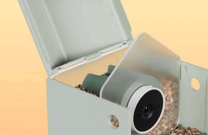 A New Bird-Recognizing Feeder Under $100 Launches for Beginner Bird-Watchers – CNET