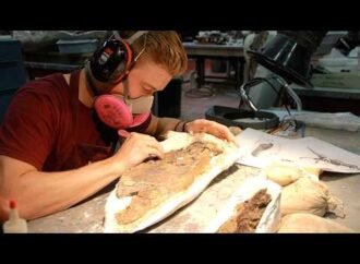 A baby tyrannosaur possibly cannibalized its dead relative