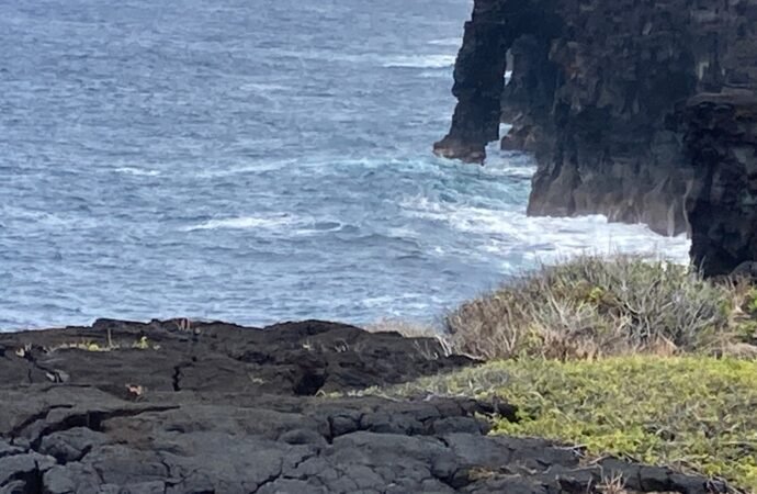 A famed Hawaii sea arch collapses, prompting NPS warnings of unstable cliffs