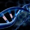 A first for CRISPR: powerful prime editing alters DNA directly in the human body