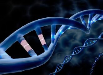 A first for CRISPR: powerful prime editing alters DNA directly in the human body