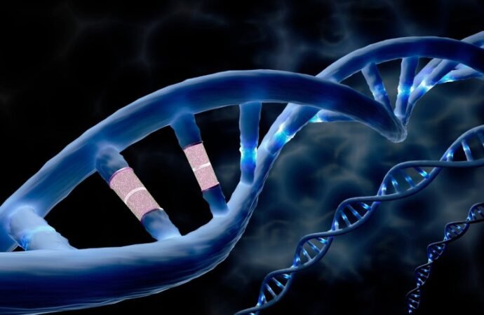 A first for CRISPR: powerful prime editing alters DNA directly in the human body