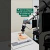 AI-powered robots can be tricked into slicing off fingers