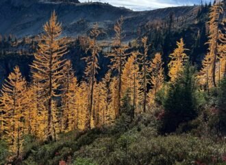Agriculture secretary says agency is ‘full-bore ahead’ on Forest Service reorganization