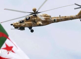 Algeria to send troops to Niger in first foreign deployment since 1973