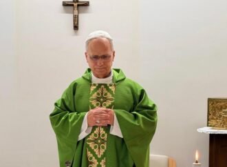 An American pope brings American-style governance to the Vatican, even in a health crisis