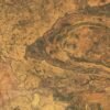 An Impact Structure With Legs – NASA Science