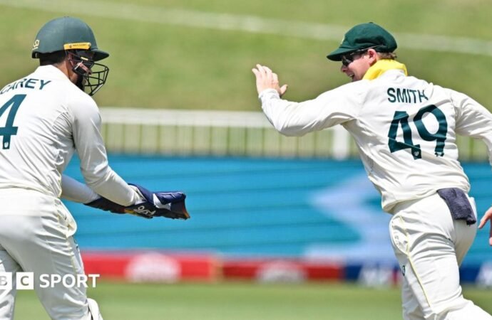 Australia v South Africa: Pace attack and Steve Smith put tourists in charge