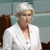 Australian MP Helen Haines’ condition improves after alleged car attack