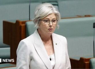 Australian MP Helen Haines’ condition improves after alleged car attack