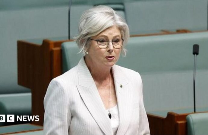 Australian MP Helen Haines’ condition improves after alleged car attack