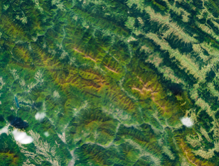Autumn Paints Poland’s Bieszczady Mountains – NASA Science
