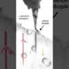 Bee stingers work like saws to pump venom