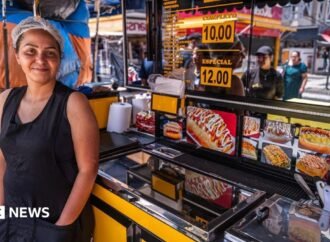 Brazil election: How a changing working class is reshaping the presidential race
