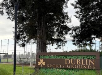 California couple accused of killing son-in-law in public park have been charged with murder