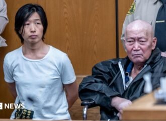 California pair charged with abusing at least 14 surrogate-born children