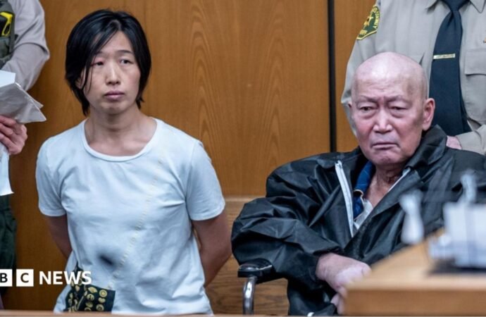 California pair charged with abusing at least 14 surrogate-born children