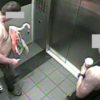 Canadian tourist guilty of animal cruelty after stealing Las Vegas flamingo