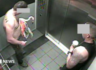 Canadian tourist guilty of animal cruelty after stealing Las Vegas flamingo