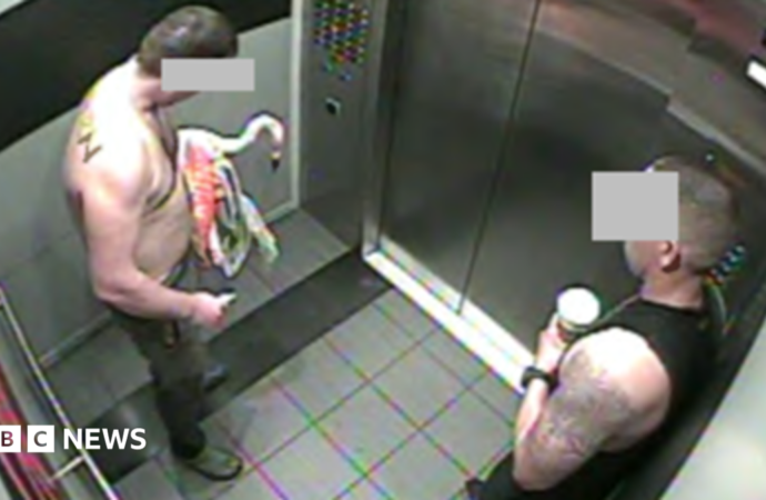 Canadian tourist guilty of animal cruelty after stealing Las Vegas flamingo