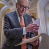 Chuck Schumer has broad support from his caucus, but midterms could decide his future as leader