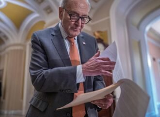 Chuck Schumer has broad support from his caucus, but midterms could decide his future as leader