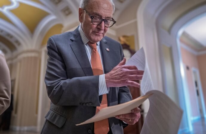 Chuck Schumer has broad support from his caucus, but midterms could decide his future as leader