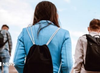 Cornell case spotlights ‘confusing’ web of systems for reporting campus assaults