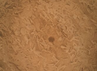 Curiosity Blog, Sols 5016–5021: Fantastic Minerals and How To Detect Them – NASA Science