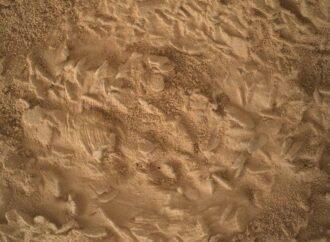 Curiosity Blog, Sols 5043-5049: Preparing to Drill at ‘Nazca’ – NASA Science