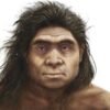 Daily briefing: The tell-tale features of a Denisovan