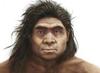 Daily briefing: The tell-tale features of a Denisovan