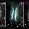 Distant space ‘hamburger’ hides a baby gas giant
