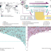 Divergent genomic evolution in astrocytomas and oligodendrogliomas – Nature