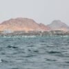 Djibouti boat capsize: Children among 109 dead with 116 still missing, UN says