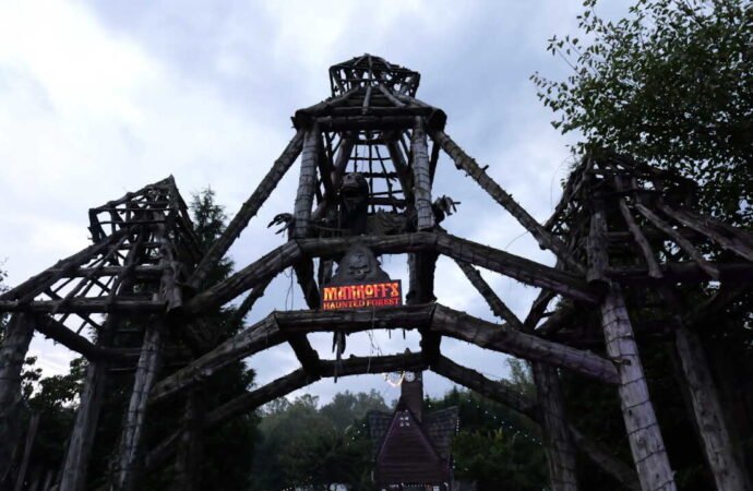 Don’t be scared: Being afraid is outright fun, and maybe useful