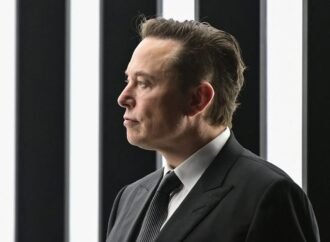 Elon Musk calls Waymos ‘pet destroyers’ and says Tesla’s robotaxis won’t run over kittens