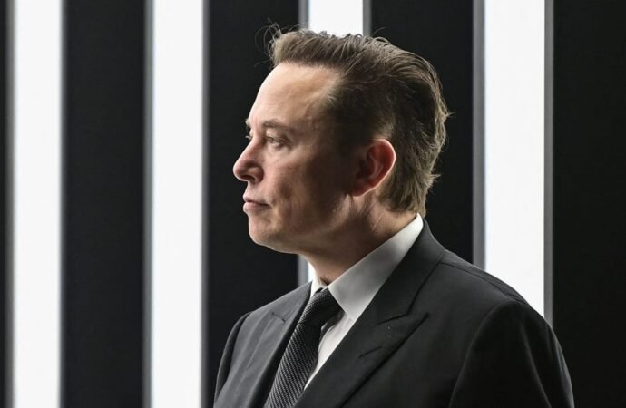 Elon Musk calls Waymos ‘pet destroyers’ and says Tesla’s robotaxis won’t run over kittens