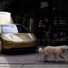 Elon Musk say Tesla is working to prevent robotaxis from running over gray cats on the road